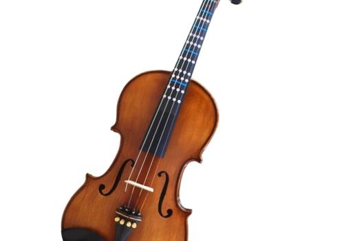 Cadu Violin CD-02i