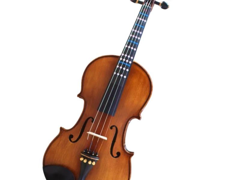 Cadu Violin CD-02i