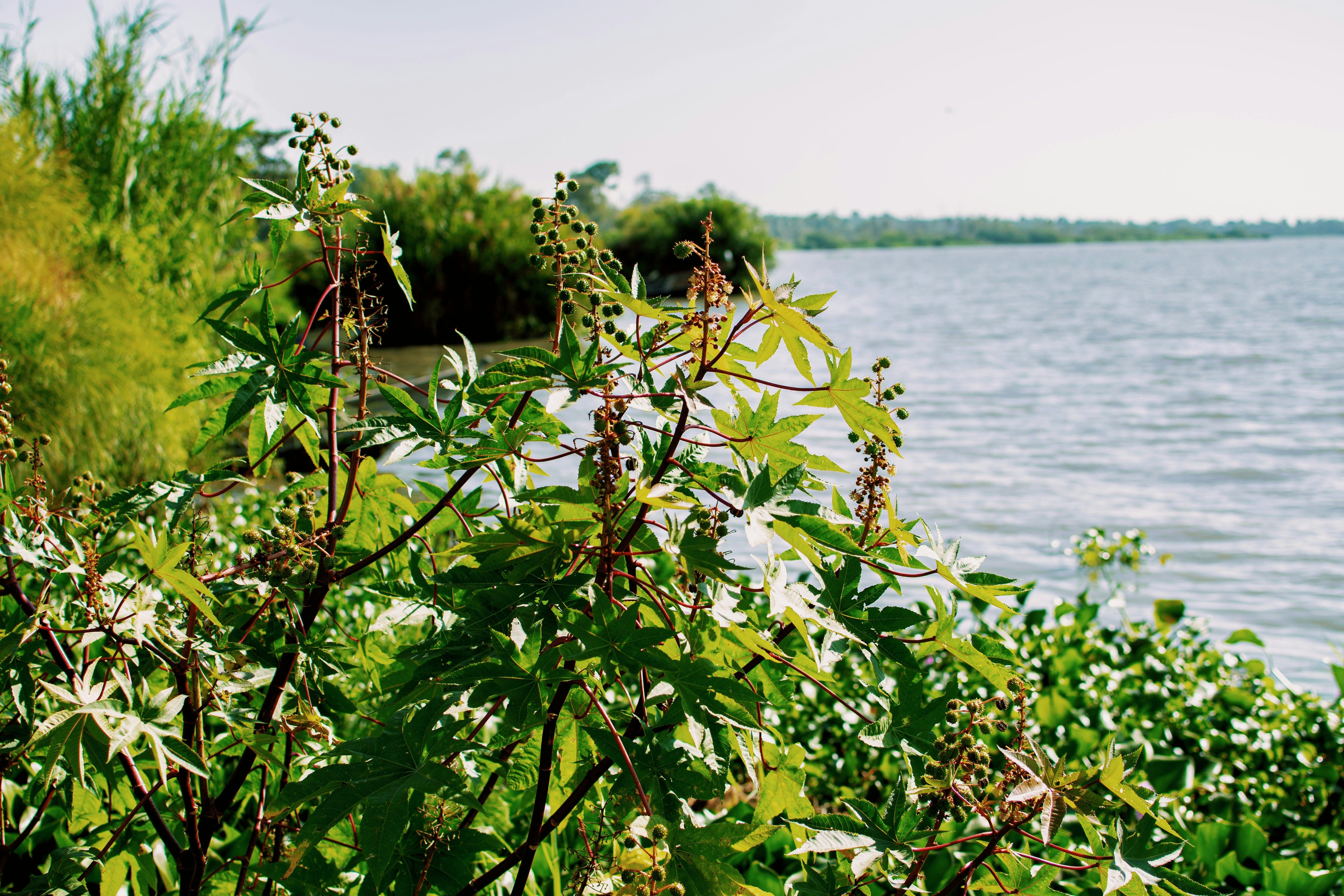 Process to establish Nile River Basin Commission and Kenya's strategic role