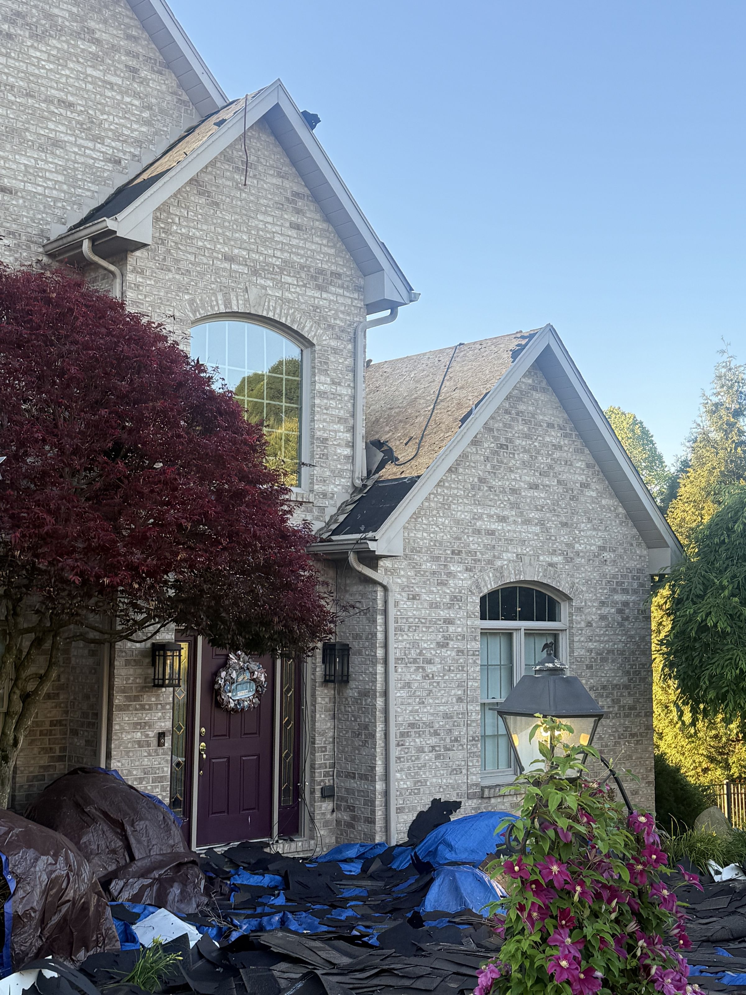Full tarp coverage protecting landscaping during a roof tear-off