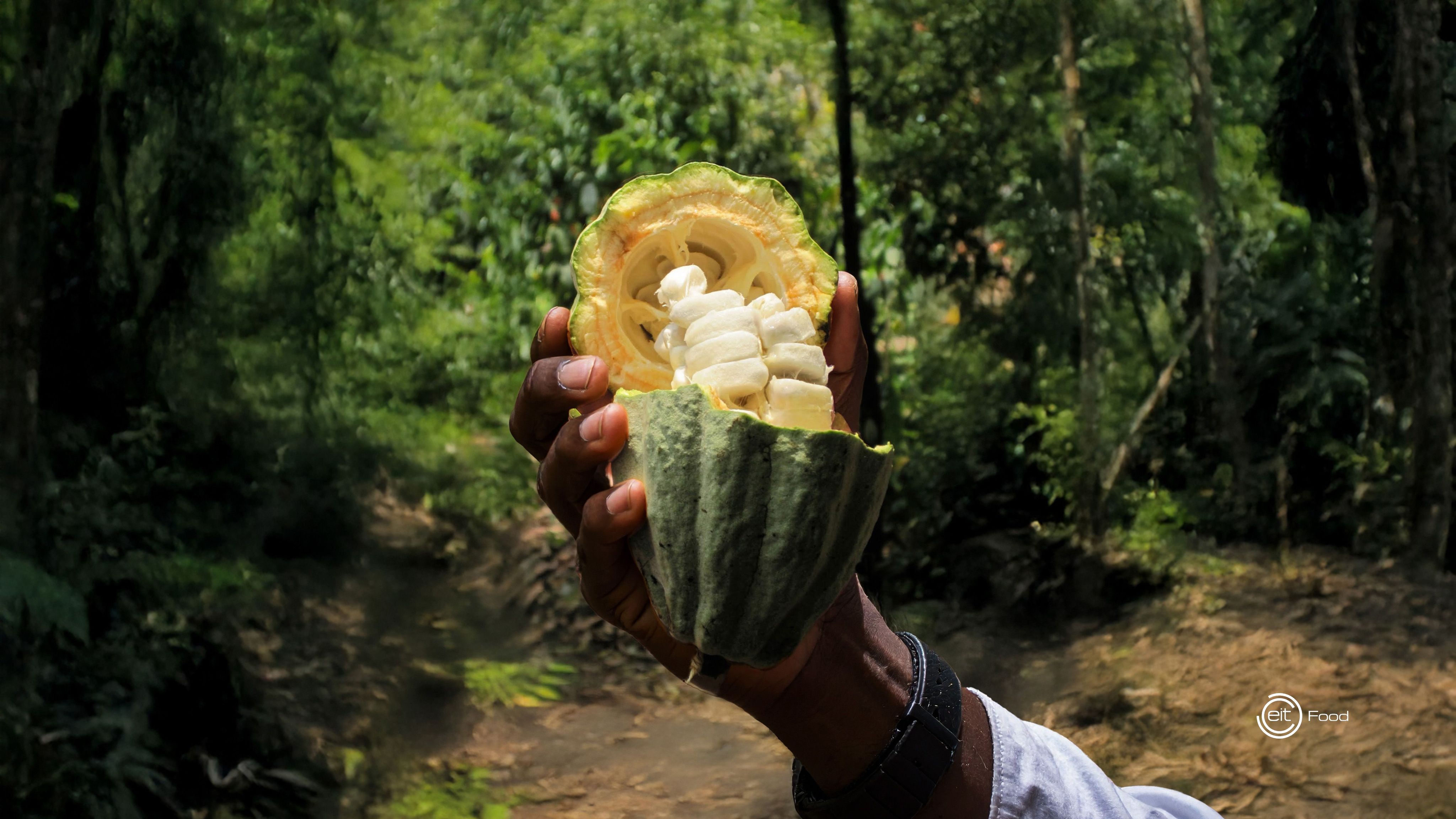 Resilience starts
at the root. 