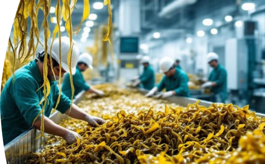 Climate Marketing Lab is supporting SEABANC with their pitch for a $1M funding round to scale