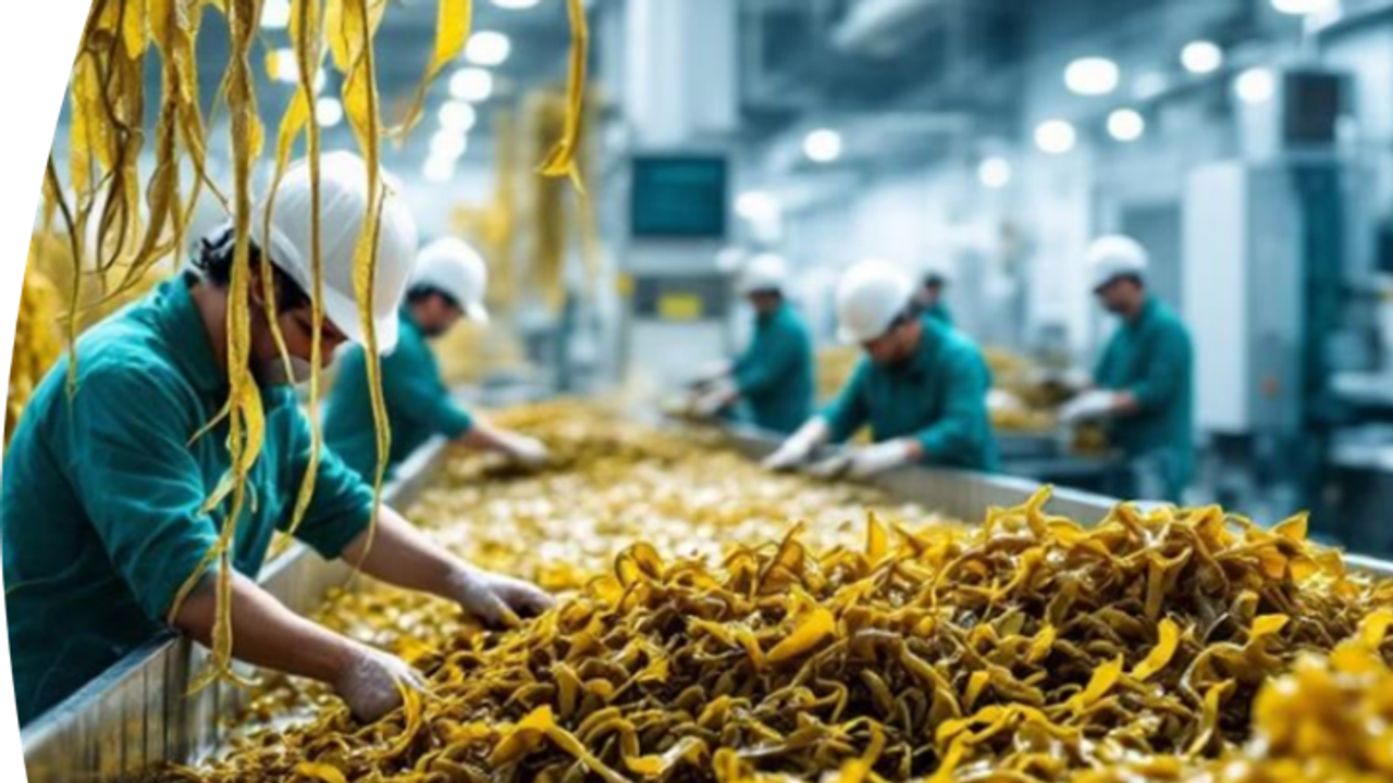 Climate Marketing Lab is supporting SEABANC with their pitch for a $1M funding round to scale
