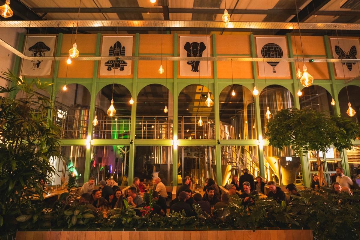 Taproom Terrarium Workshop