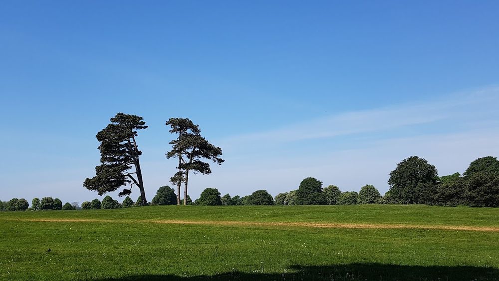 Clifton Downs