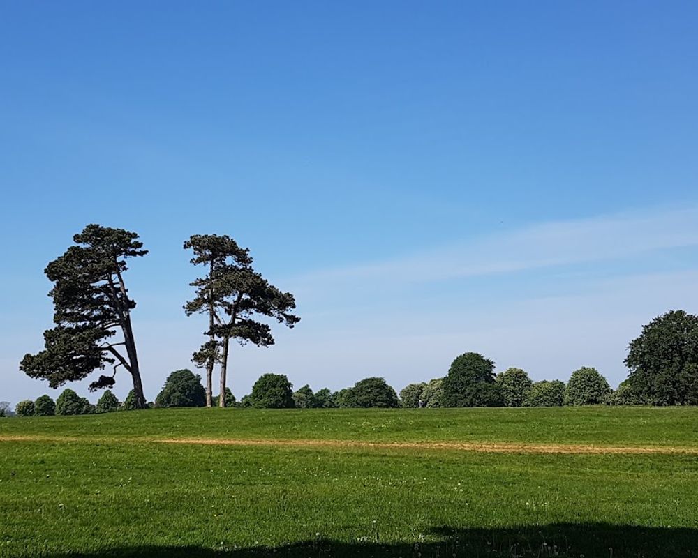 Clifton Downs