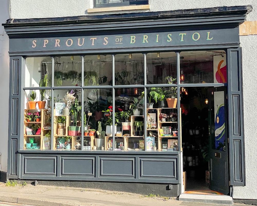 Sprouts of Bristol