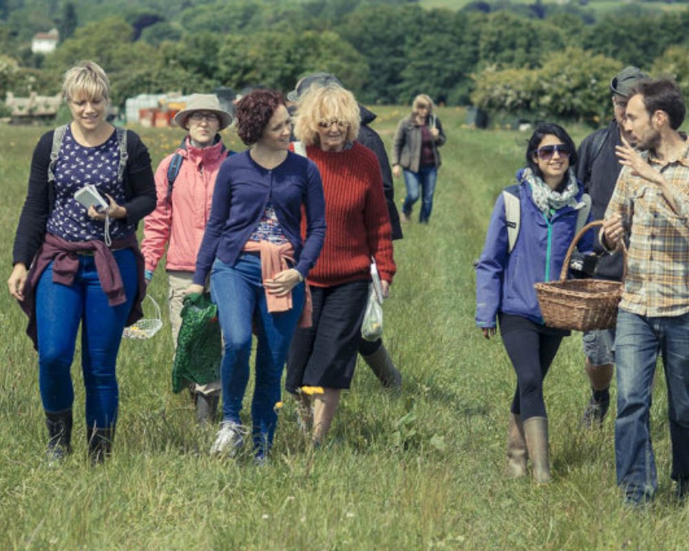 Bristol Mushroom ID Walks