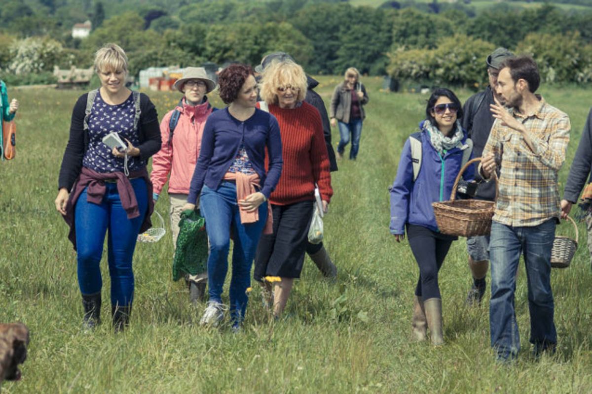 Bristol Mushroom ID Walks