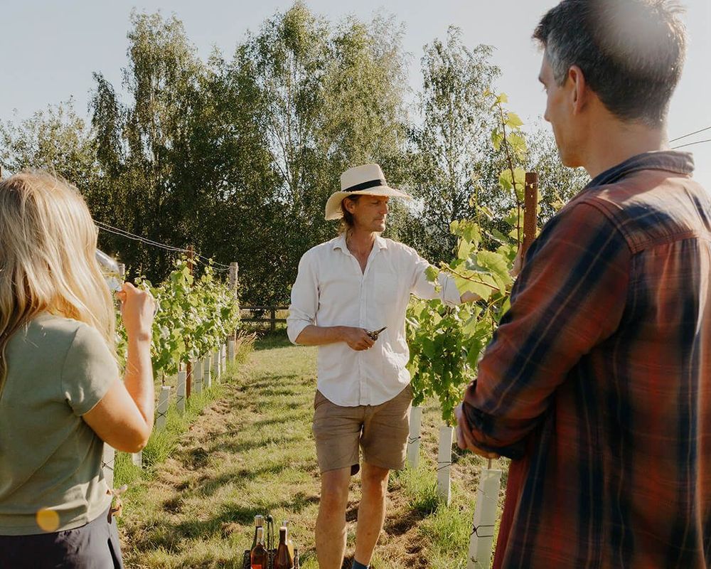 Vineyard and Cider Press Tour & Tasting