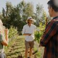 Vineyard and Cider Press Tour & Tasting