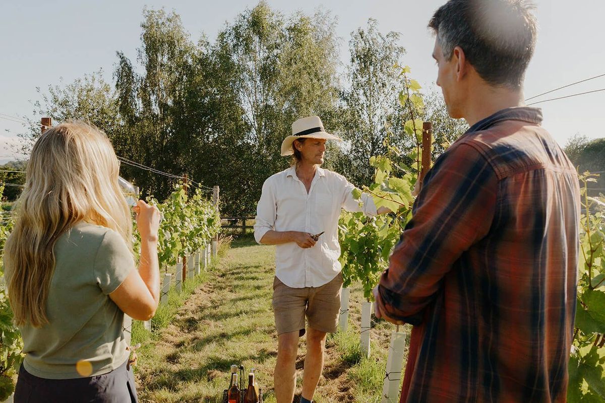 Vineyard and Cider Press Tour & Tasting