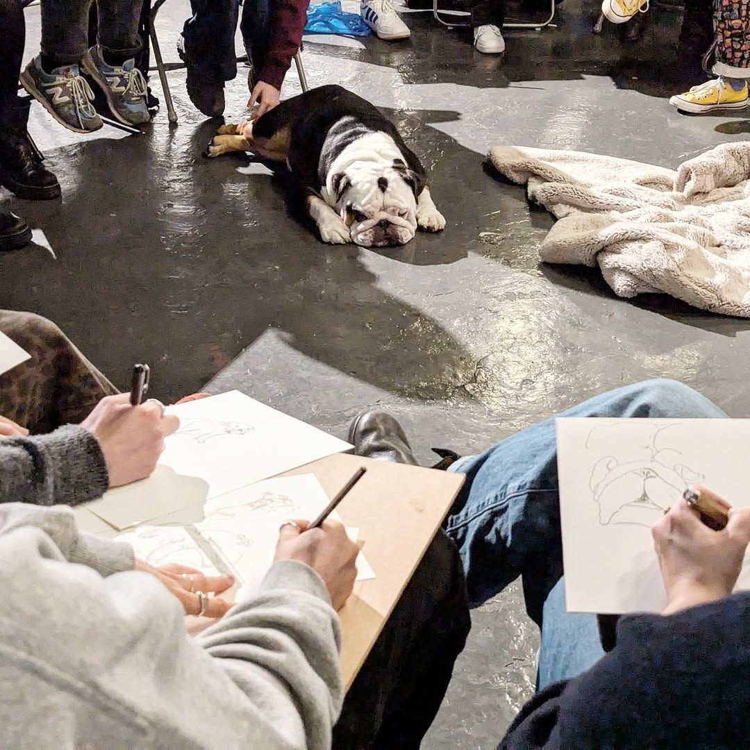 Dog Life Drawing