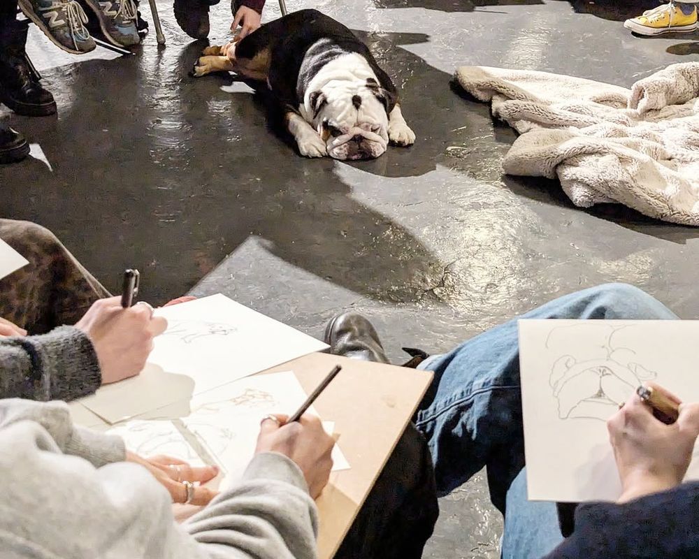 Dog Life Drawing