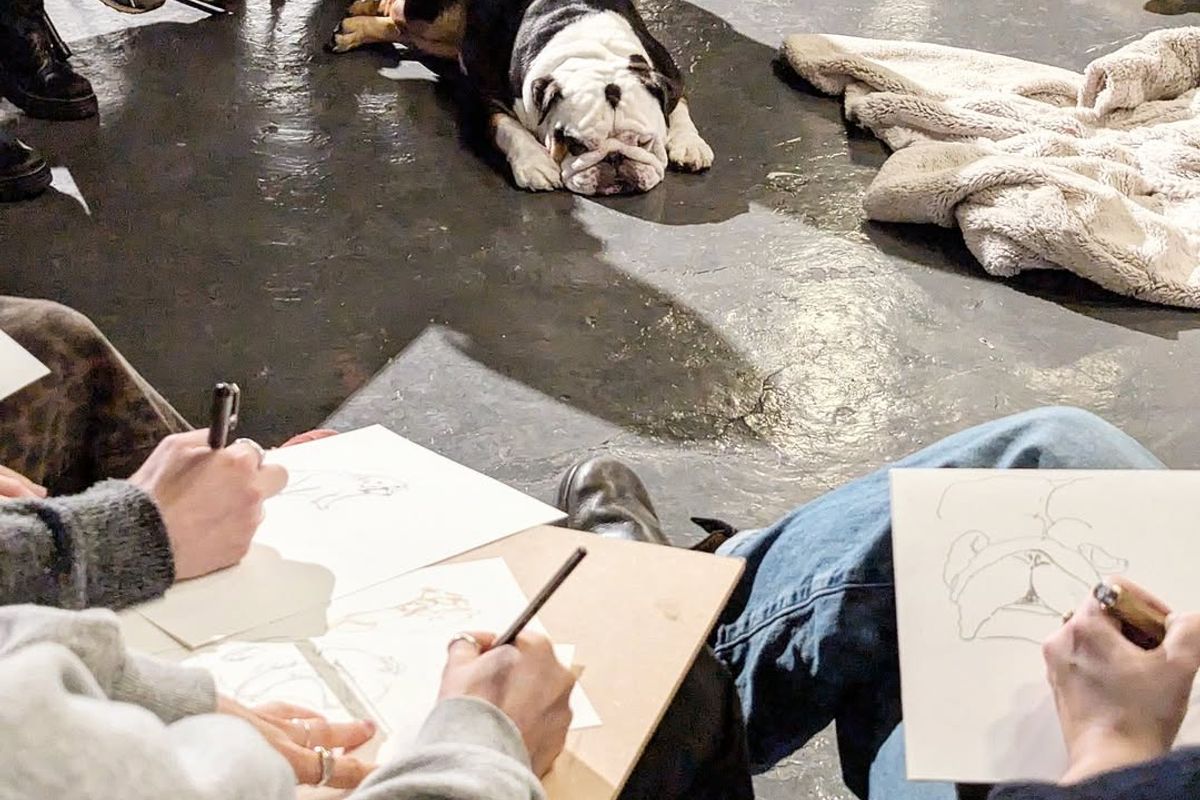 Dog Life Drawing