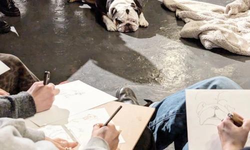 Dog Life Drawing