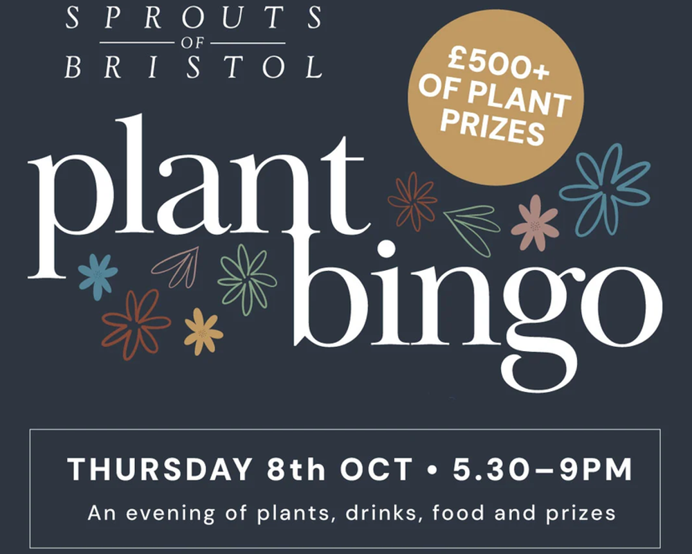 Houseplant Bingo at Sprouts