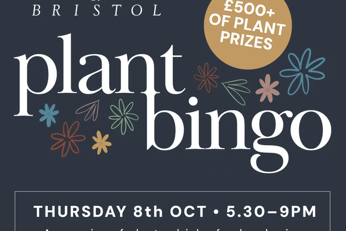Houseplant Bingo at Sprouts