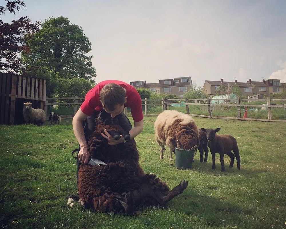 St Werburghs City Farm