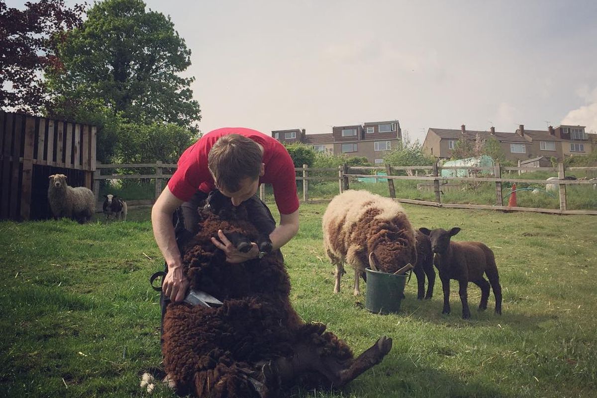 St Werburghs City Farm