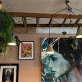 Life Drawing + Social