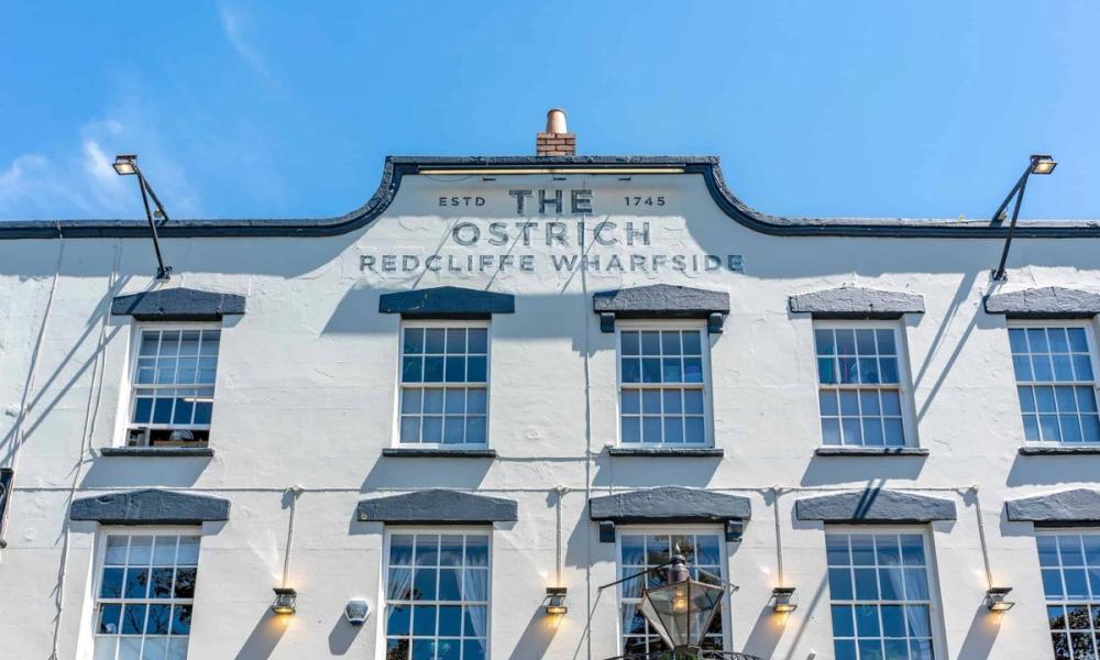 The Ostrich