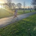 Eastville parkrun