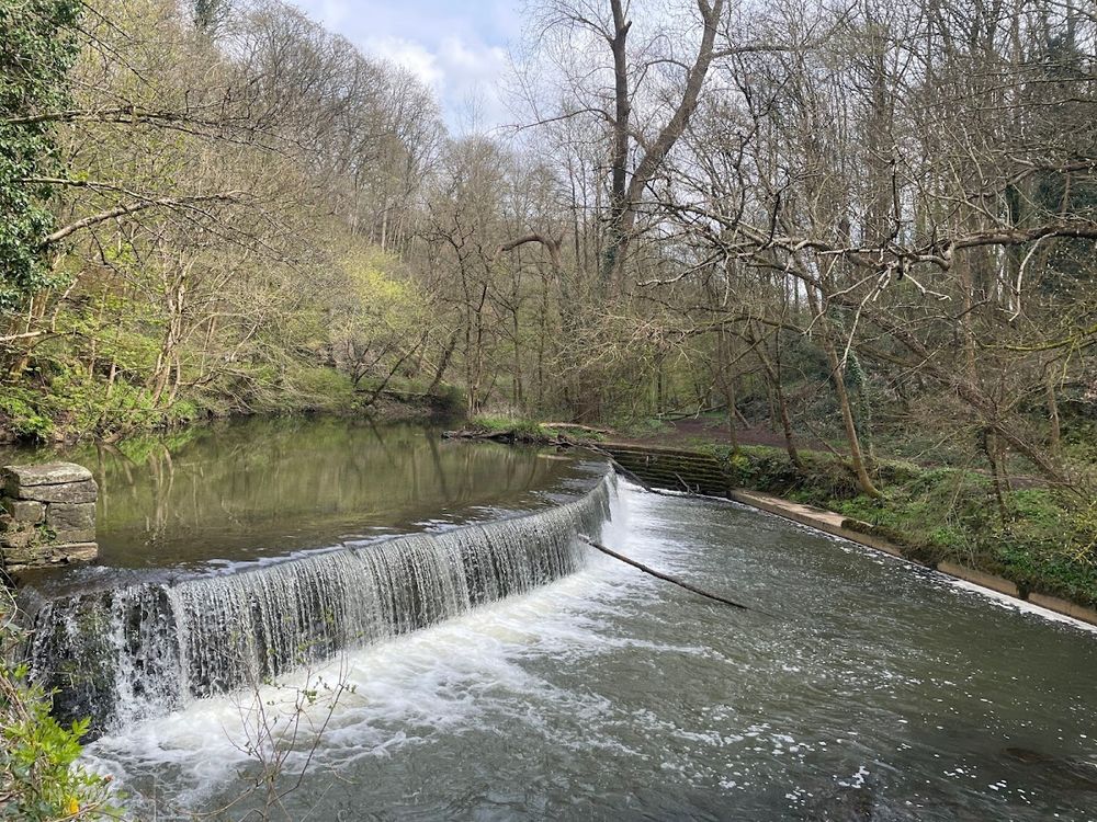 Snuff Mills and Oldbury Court