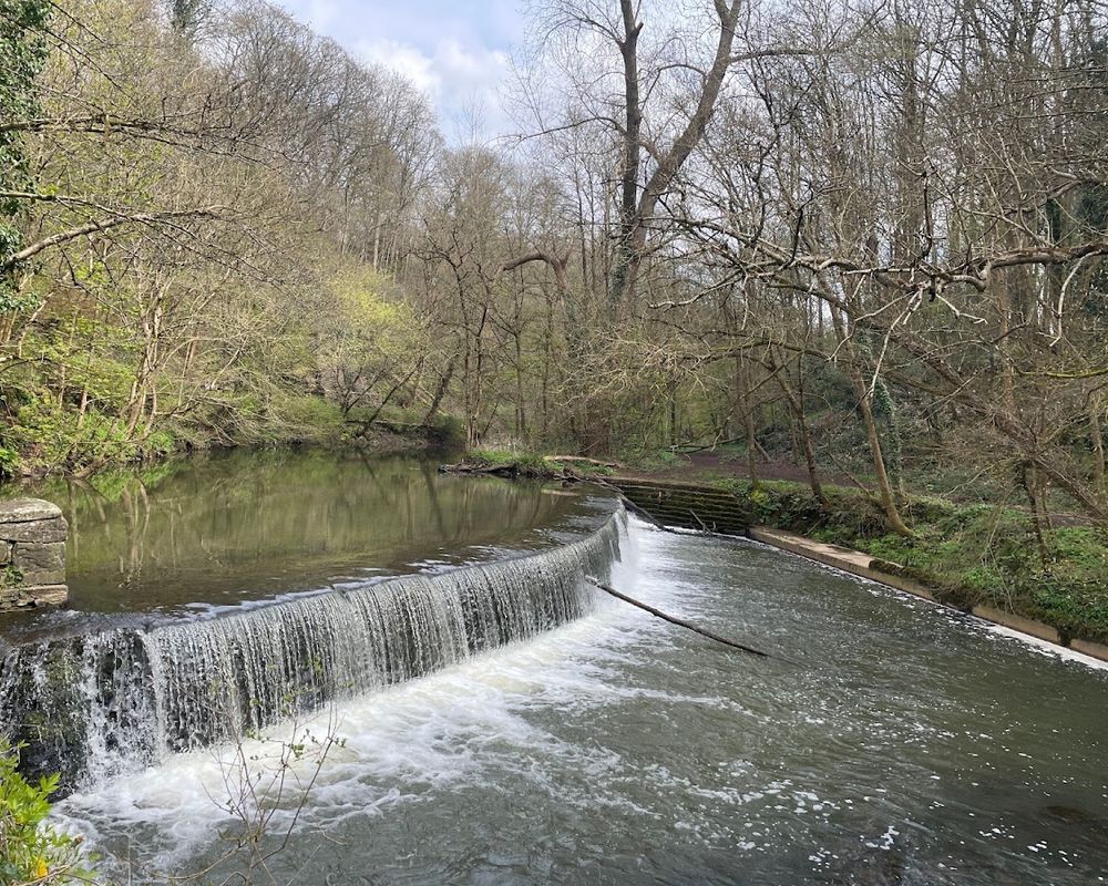 Snuff Mills and Oldbury Court