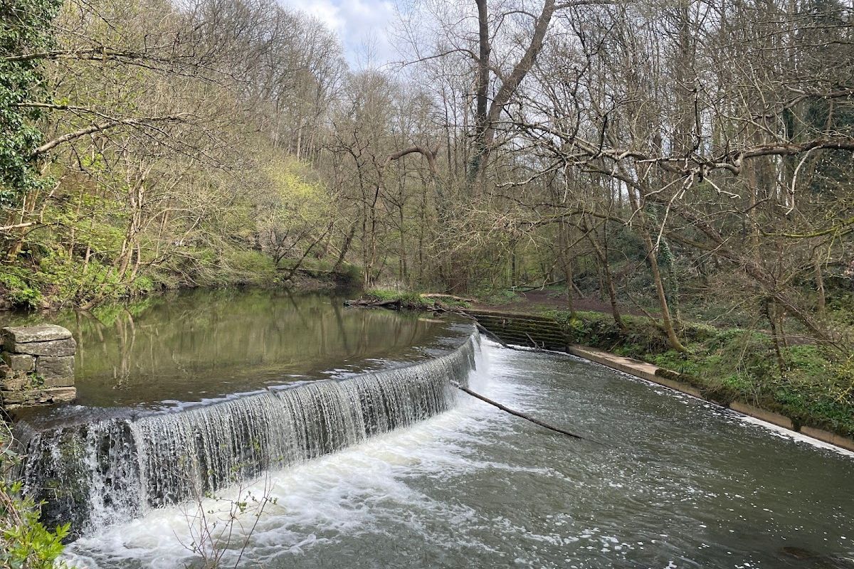 Snuff Mills and Oldbury Court