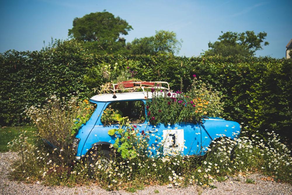 A Day at the Yeo Valley Organic Garden