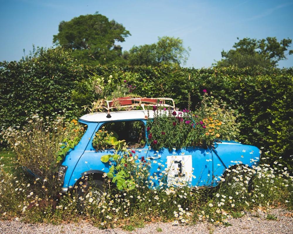 A Day at the Yeo Valley Organic Garden
