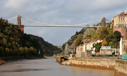 7 Free Wildlife Dates in Bristol
