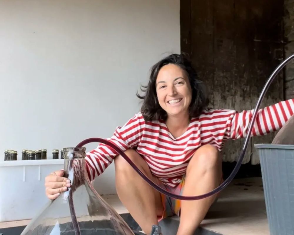 A New Way In to Wine