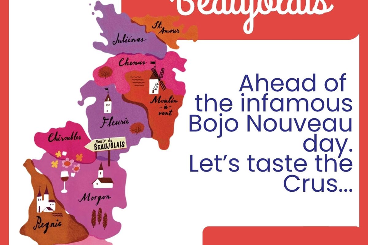 Buff Up on Beaujolais Wine Tasting
