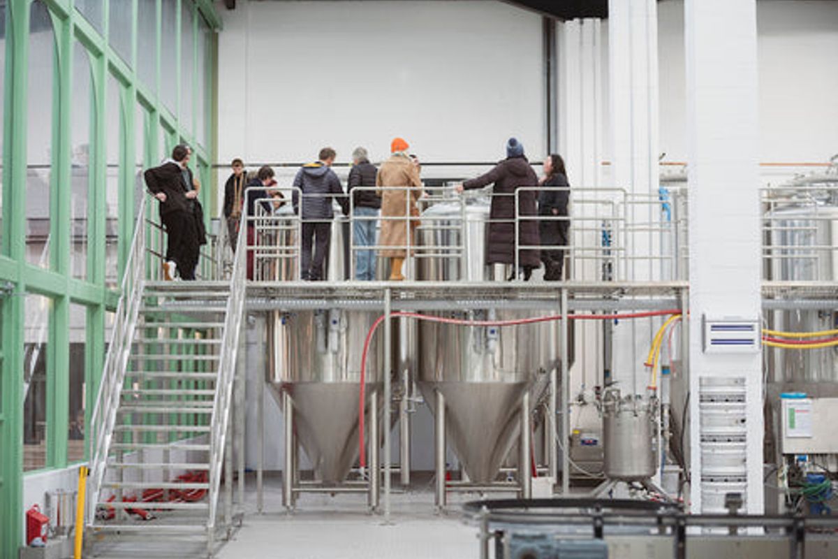 Brewery Tour at Wiper and True