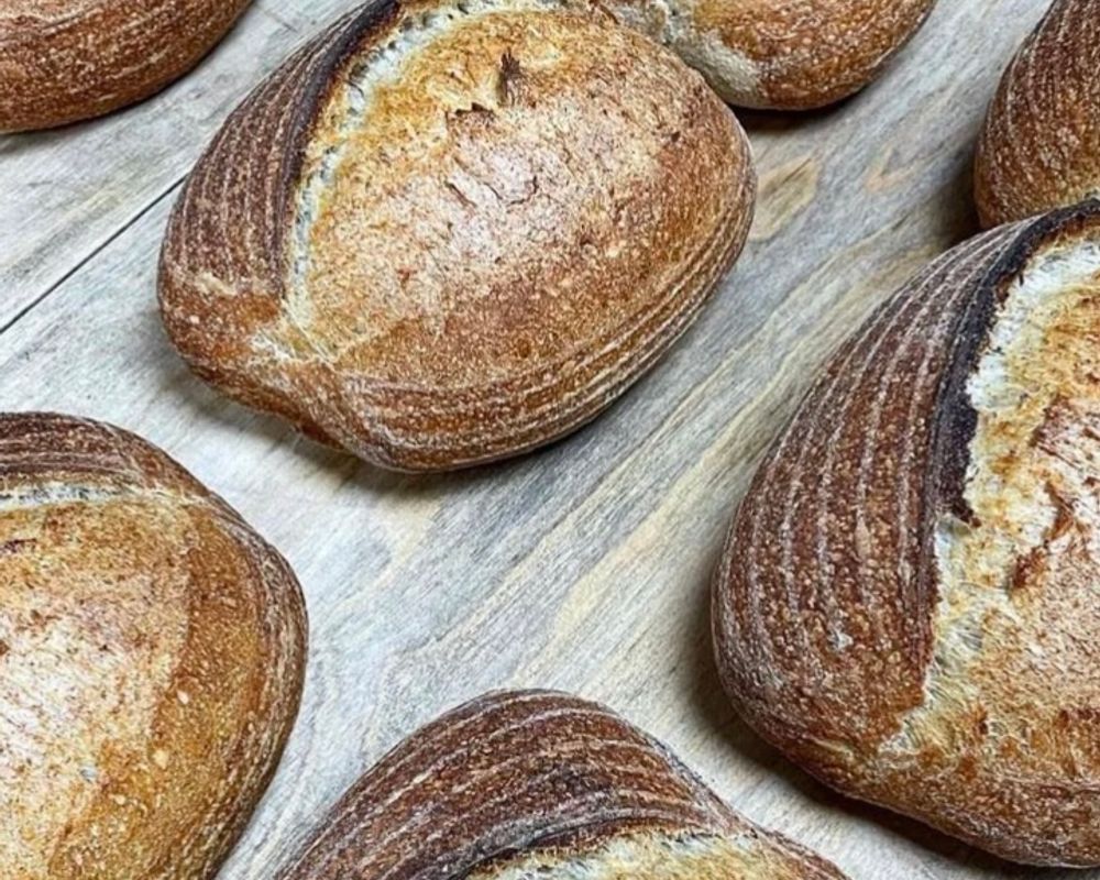 Foccacia and sourdough with Hannah Catley - Catleys Bakery