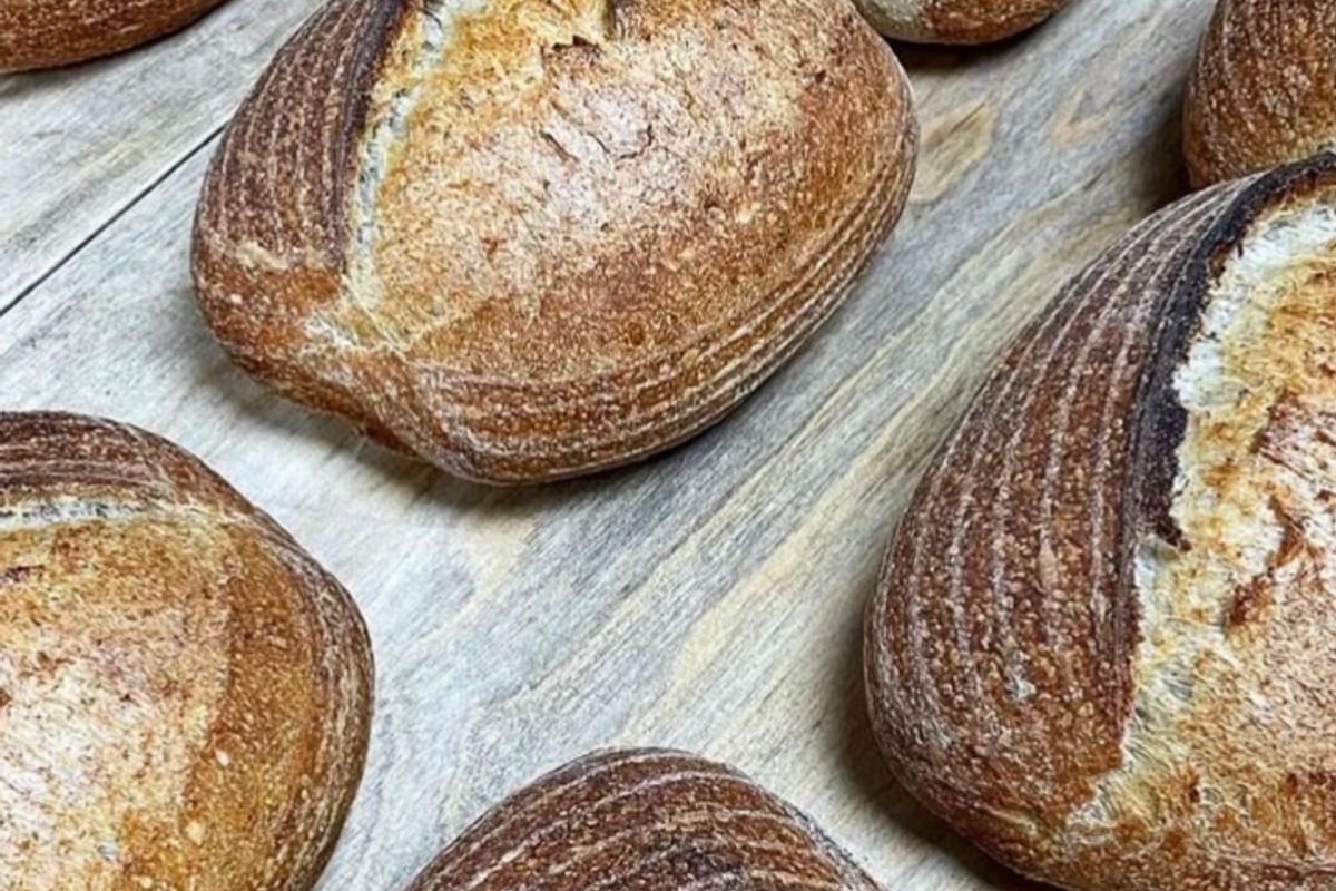Foccacia and sourdough with Hannah Catley - Catleys Bakery