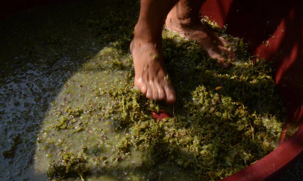 A New Way In to Wine
