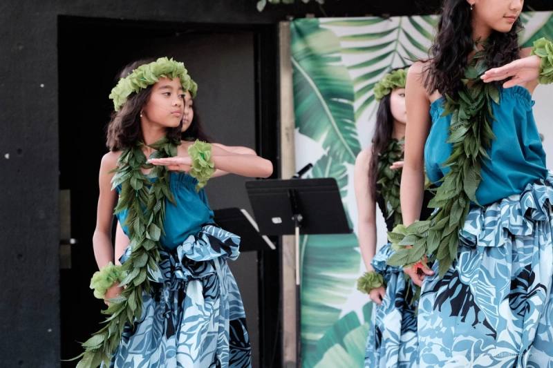 Festival-goers enjoying AlohaFest Toronto