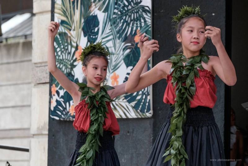 Festival-goers enjoying AlohaFest Toronto