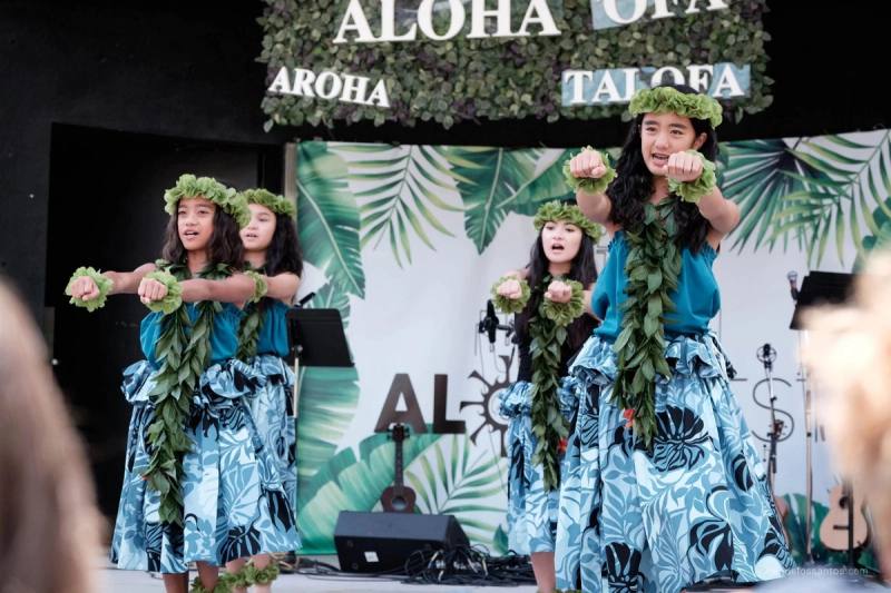 A hula hālau dancing at Mel Lastman Square