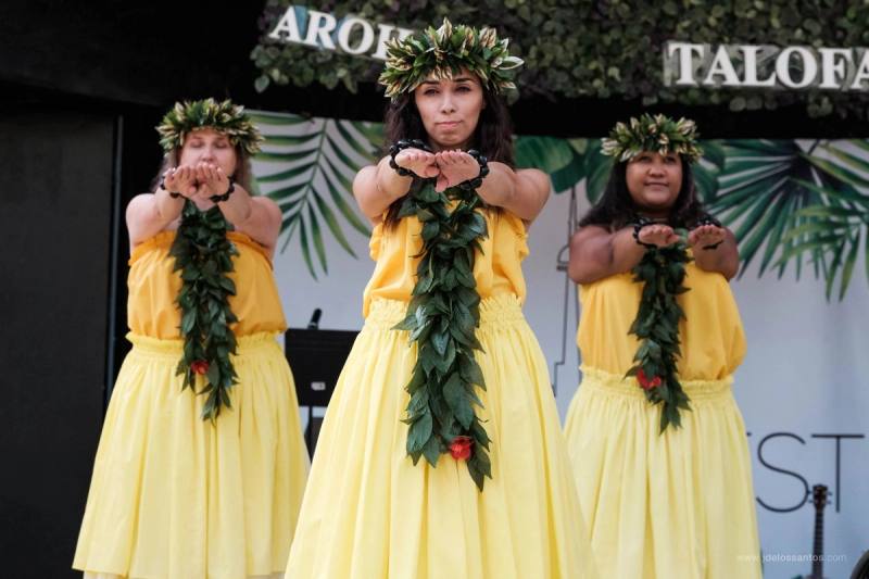 Festival-goers enjoying AlohaFest Toronto