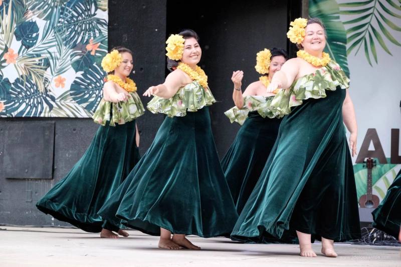 Festival-goers enjoying AlohaFest Toronto