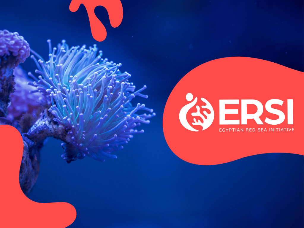 Ersi banner reef png