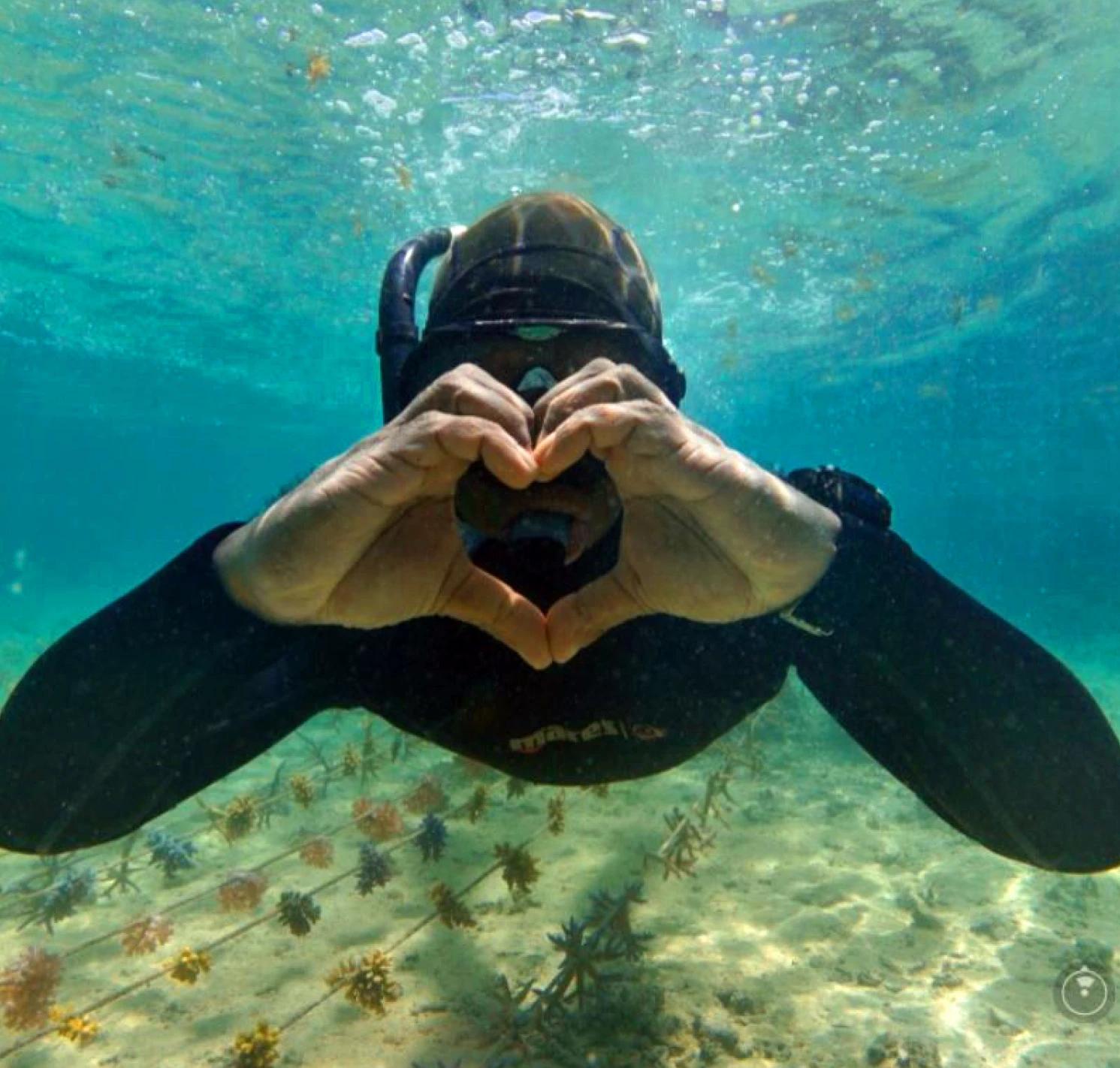 Layoutfiji