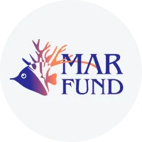 Gfcrparters marfund grey