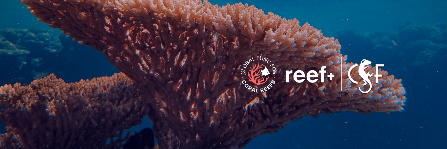 Area based conservation