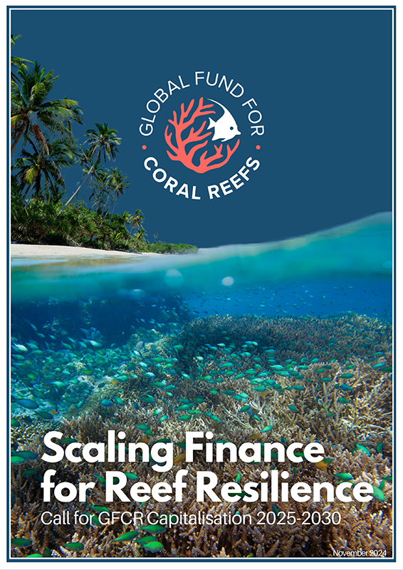 Final nov 2024 gfcr call for capitalisation 1 1 1