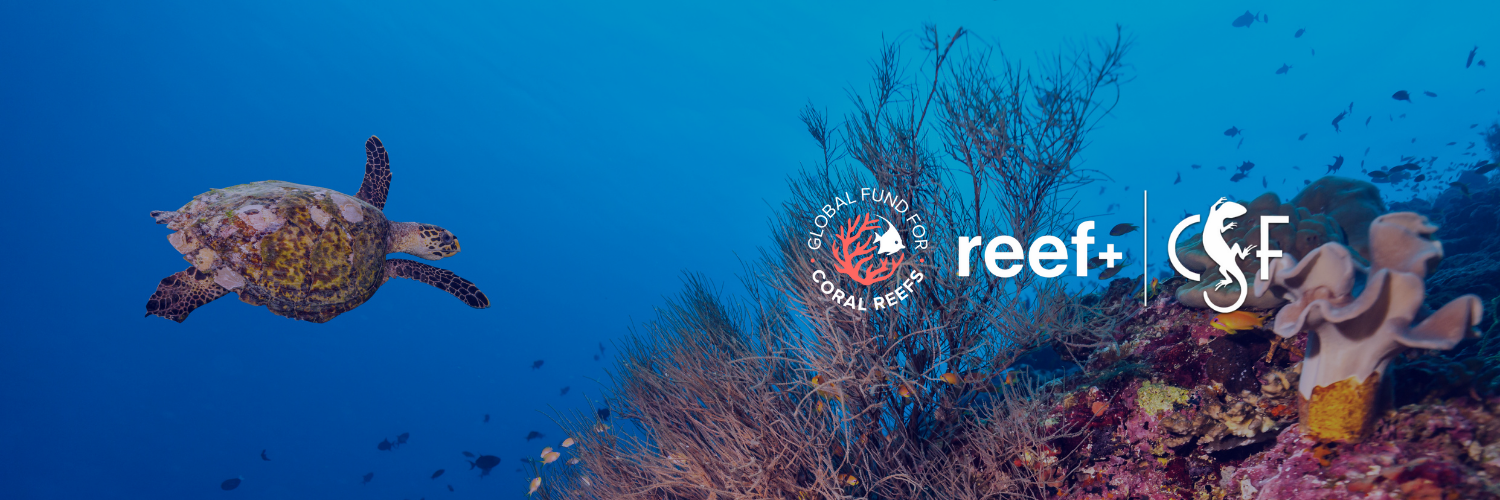 Investment principles